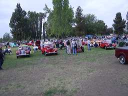imgp2006