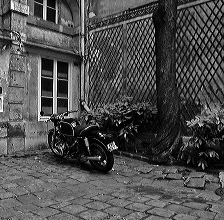 dscn1793grayv2